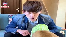 主人嫌猪肉贵只吃白菜被狗狗埋怨，下一秒主人想到了狗肉，太逗了
