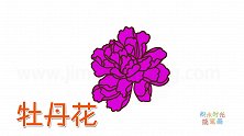 植物简笔画大全，画一朵漂亮的牡丹花简笔画