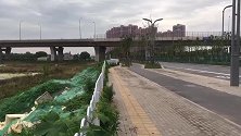 荆州复兴大道沙市园林路跨线桥西侧的乱相