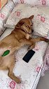罢工！ 我不干了！