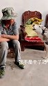 罢工的二哈
