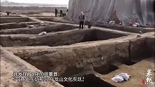 果然视频｜水库变身考古工地，山东菏泽新发现156座连片汉墓