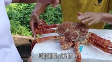 599预定一只帝王蟹，蒸上20分钟出锅，第一次吃味道怎样