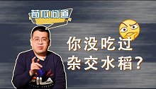 袁隆平的杂交水稻，为啥没人吃过？袁老毕生研究的意义在哪？