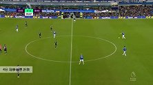 马修·瑞恩 英超 2019/2020 埃弗顿 VS 布莱顿 精彩集锦