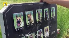 训犬30年，他亲手为10只警犬立墓碑