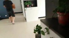 粉丝姐姐漂洋过海寄来礼物，二哈马桶直接抱着不放，主人羡慕坏了