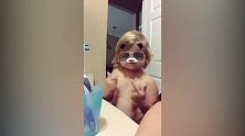 带着太阳镜，小宝贝扭着身体，萌萌哒好可爱呦！