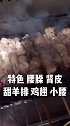 河北区梆子羊肉串，了解一下