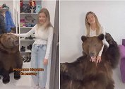 俄罗斯一网红把一只棕熊带回家给1岁儿子 遭到警方调查