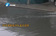 一场大雨窨井变“喷泉”，巡防队员手动搬砖帮路人抬车