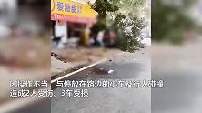湖南涉外经济学院一女老师校内开宝马车，因操作不当，致2人受伤