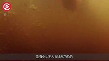 食人鱼身体构造多恐怖？放大100倍后，真是意想不到！