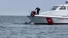 船员发现海豚被渔网缠住后连忙报警，意大利海岸警卫队前来救援