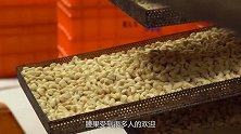 腰果凭什么比其他坚果贵？看完它的生产过程，真心不觉得贵了！