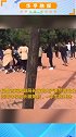 黑龙江30多名女学生街头斗殴，校长免职、一涉事学生被开除   校园安全