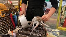 广州的宝藏日料，不愧是私密小馆，味道就是不错！
