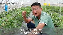 种小麦底肥如何用？农户该换配方了，这样更高产