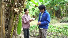 丈夫把儿子弄丢后，却天天往地里跑，妻子跟去才知丈夫苦衷