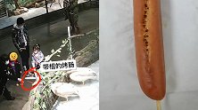 游客将带签烤肠整根扔进鹈鹕嘴里 园方：若未及时处理或致胃穿孔