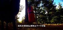 山里的羊儿脾气真不小，看到个沙袋就顶了上去，这下事情大了