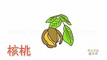 水果简笔画大全，画成熟的核桃简笔画