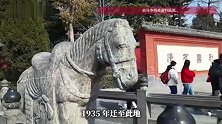 洛阳白马寺千年石马频繁被游客踩踏，当地回应