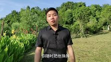 过来人的忠告：谁把你当宝，陪谁到老