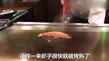 日本的“活虾”铁板，活蹦乱跳被一锅盖盖住，口水忍不住了