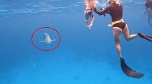 澳大利亚网红夫妻带两岁儿子在海中与鲨鱼一起游泳