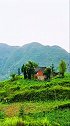 贵州大山顶上的世外桃源