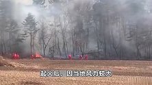 辽宁本溪山火明火已扑灭，林草局：因祭祀引发，肇事者被警方带走