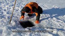 小海豹卡在冰洞口，将其拽出来的一瞬间，众人忍不住笑喷了