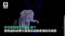 马戏团为保护动物耗资七百万用全息替换真实动物 引网友支持赞誉