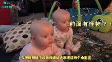 双胞胎宝宝齐刷刷的看向妈妈，表情萌翻了，原谅我傻傻分不清