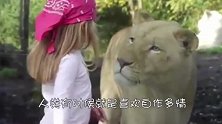 动物可不懂怜香惜玉！