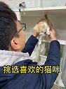 领养人说对这次领养流程十分满意，会推荐身边亲朋好友领养代替购买梦中情猫  流浪猫  萌宠出道计划