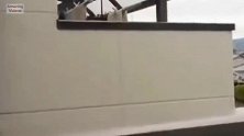 猫咪准备跳上房顶，经过一番打量后还是掉下去，白费心思了！