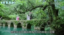 双世宠妃2：墨连城和墨奕怀打的头破血流，皇帝满脸泪水太心酸！