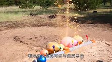 水管上有满满一排气球，加上曼妥思和神秘液体，结果当场就懵了！