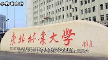 我国面积最大的大学，梵蒂冈的14倍，也是众多学子努力的目标