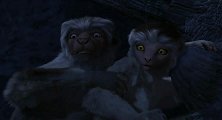 恐龙：艾力达带着狐猴们来到了山洞，遇到了一个大怪物！