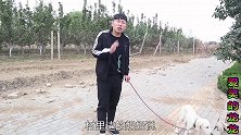 小伙奉命来驱赶黄鼠狼，无意发现一个儿童书包，最后做法值得学习