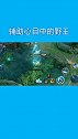 瑶这才是我的野王，心目中的盖世英雄！