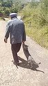 猫：爷爷放开我，我才不要回家！