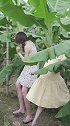 这两女人鬼鬼祟祟在我蕉林干嘛？？