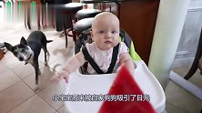 小吃货居然拒绝吃西瓜，就看小娃此时的反应，好玩了
