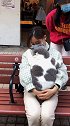 平平淡淡简单的幸福