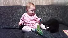 宝宝正在和虎皮鹦鹉玩，这时小猫咪出现了