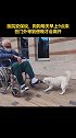 现实版忠犬八公！ 土耳其狗狗医院外守护患病主人